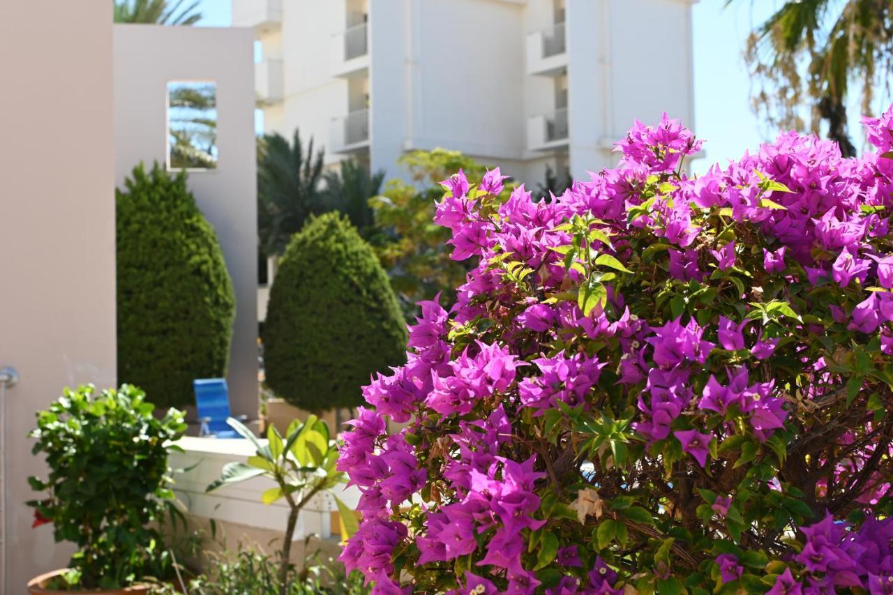 Отдыхайте С Удовольствием Paphos Exterior foto